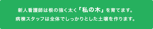 新人看護師は根の強く太く「私の木」を育てます。病棟スタッフは全体でしっかりとした土壌を作ります。