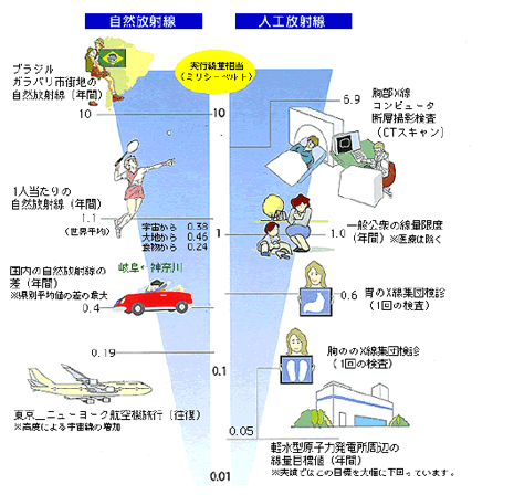 放医研資料より