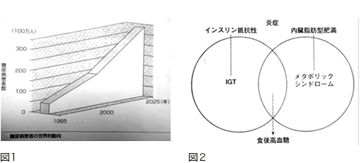 糖尿病とメタボリックシンドローム 糖尿病とメタボリックシンドローム