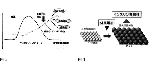 糖尿病とメタボリックシンドローム 糖尿病とメタボリックシンドローム