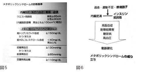 糖尿病とメタボリックシンドローム 糖尿病とメタボリックシンドローム